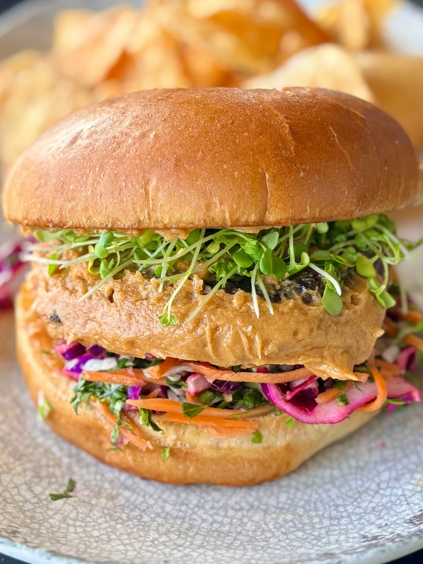 Spicy Mustard Microgreens