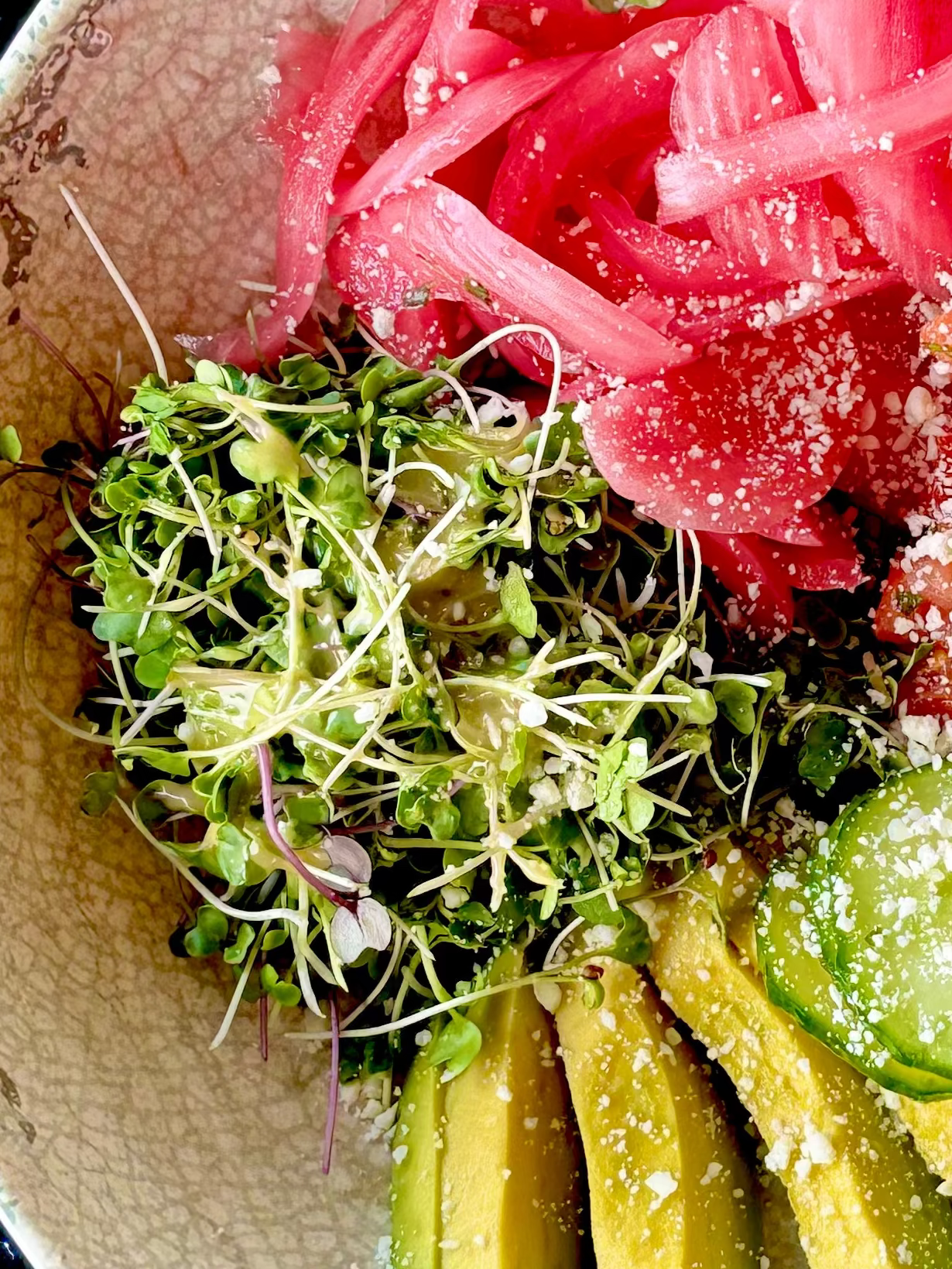 Basic Salad Mix Microgreens