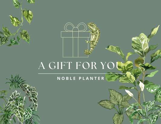 Noble Planter Gift Card